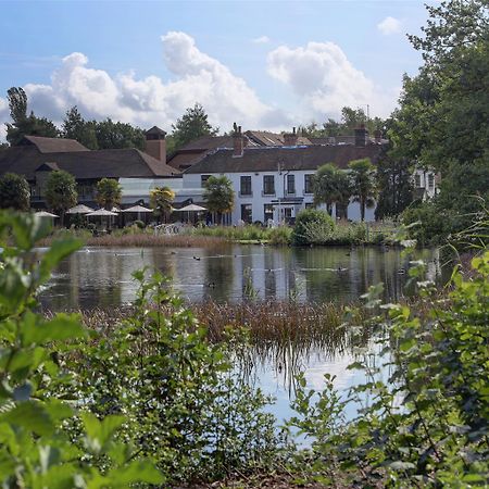 Frensham Pond Country House Hotel & Spa ファーナム エクステリア 写真