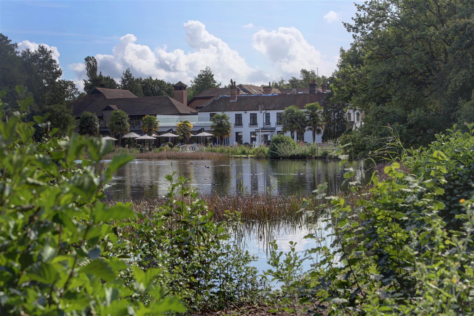 Frensham Pond Country House Hotel & Spa ファーナム エクステリア 写真