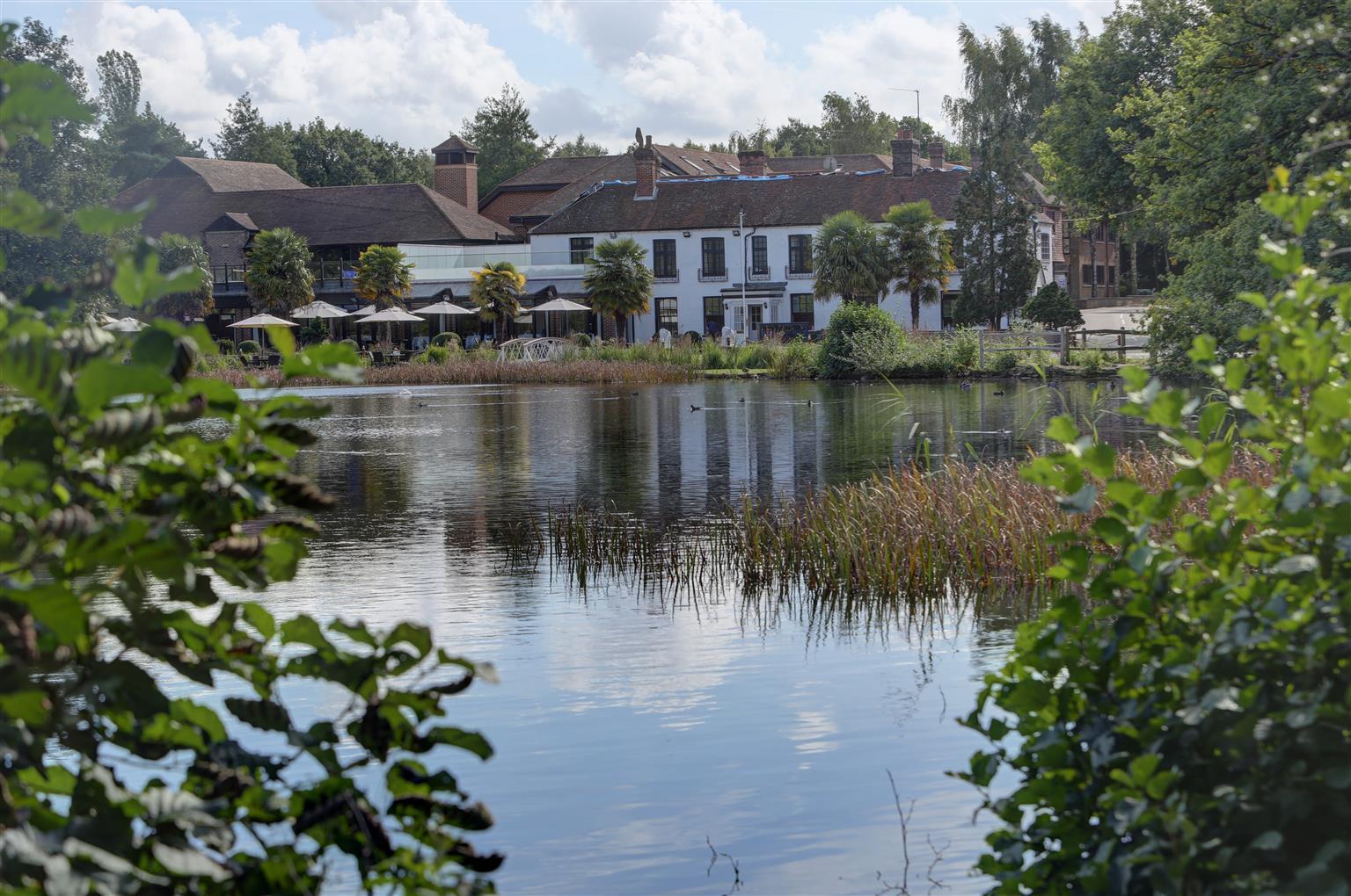 Frensham Pond Country House Hotel & Spa ファーナム エクステリア 写真